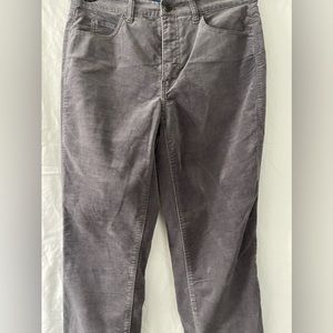 Talbots High-Rise Straight-Leg Curvy Velvet Women’s Pants Size: 4 Color: Gray